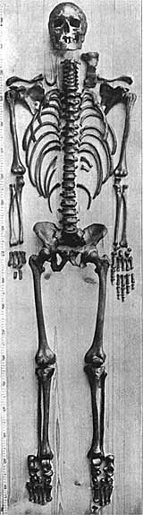 Bach's skeleton, found in 1894