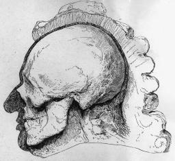 Model of Bach's head, formed around a cast of the skull